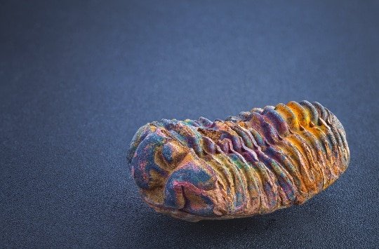 Morocco Educational Tour